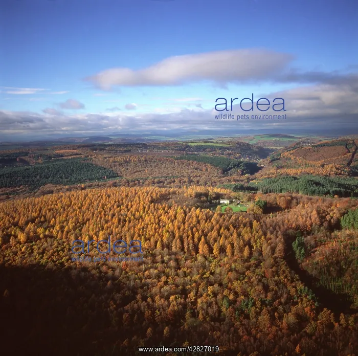 : England - Aerial view : England - Aerial view