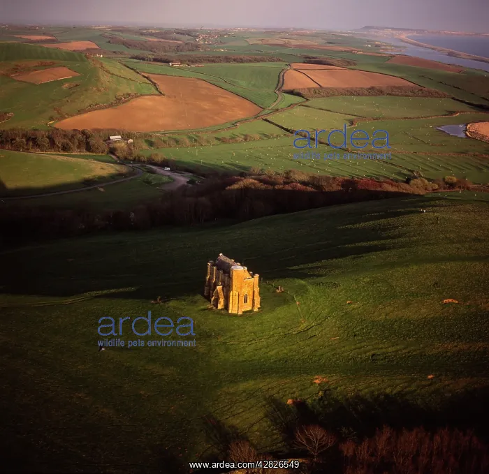  : England - Aerial view, Abbotsbury, Dorset