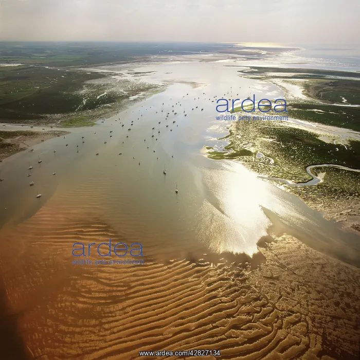 : England - Aerial view, Blakeney Point : England - Aerial view, Blakeney Point