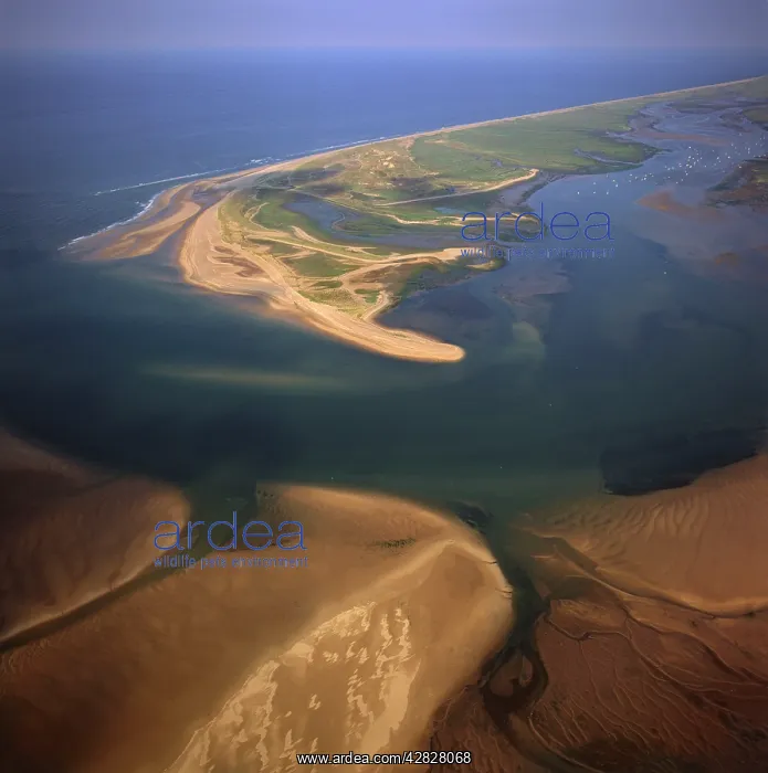 : England - Aerial view, Blakeney Point, Norfolk : England - Aerial view, Blakeney Point, Norfolk