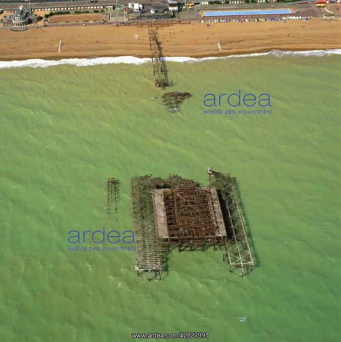 : England - Aerial view, Brighton West Pier - having : England - Aerial view, Brighton West Pier - having