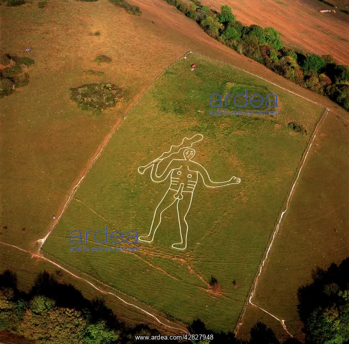 : England - Aerial view, the Cerne Abbas Giant hill : England - Aerial view, the Cerne Abbas Giant hill