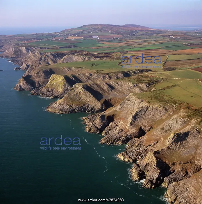 : England - Aerial view, Cliffs at Fall Bay, south : England - Aerial view, Cliffs at Fall Bay, south