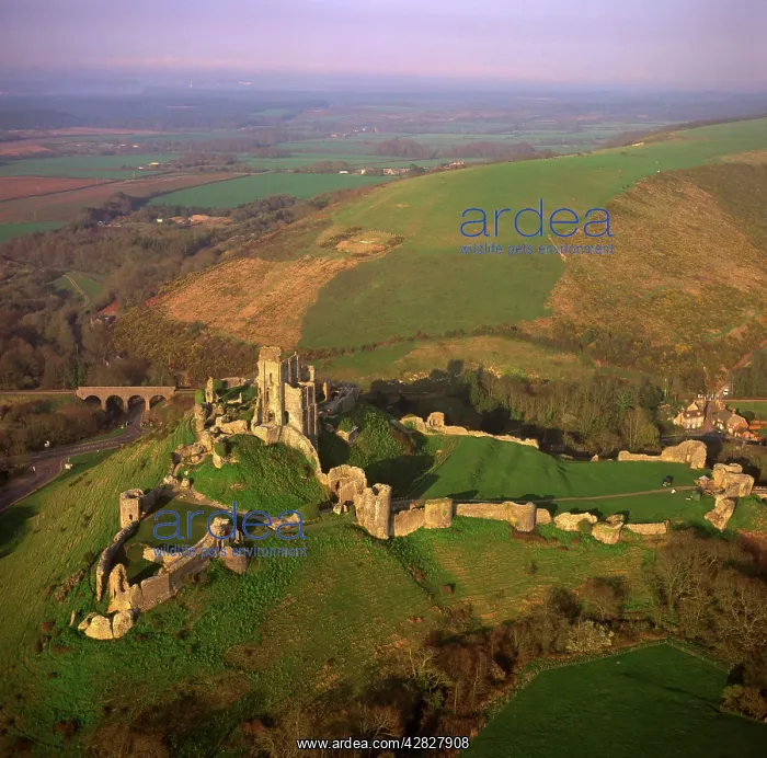 : England - Aerial view, Corfe Castle, Dorset : England - Aerial view, Corfe Castle, Dorset