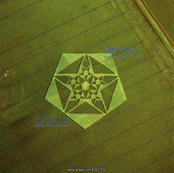  : England - Aerial view, Crop Circle, Wiltshire