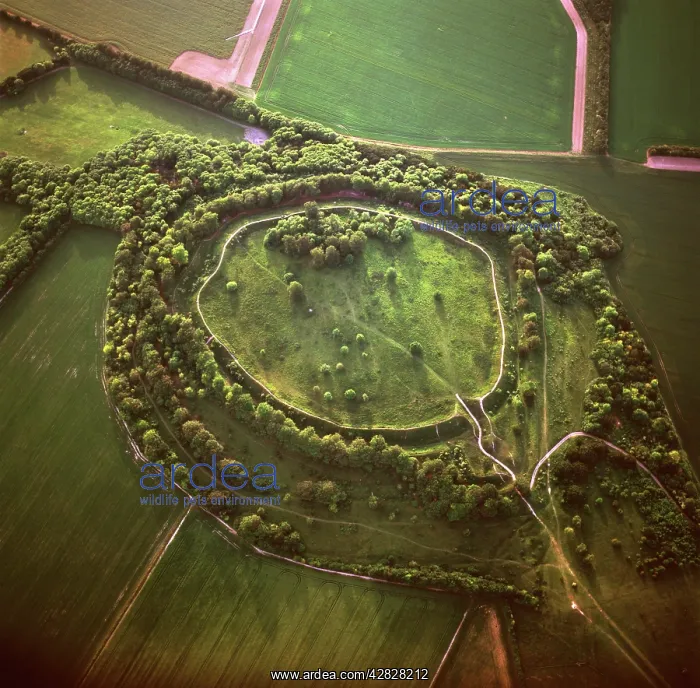 : England - Aerial view, Danebury Ring, Middle Wallop : England - Aerial view, Danebury Ring, Middle Wallop