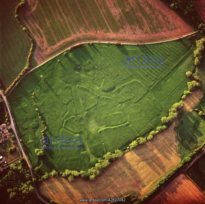 : England - Aerial view, Deserted Village : England - Aerial view, Deserted Village