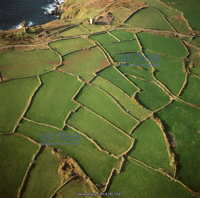 : England - Aerial view, dry stone walls and ruin : England - Aerial view, dry stone walls and ruin