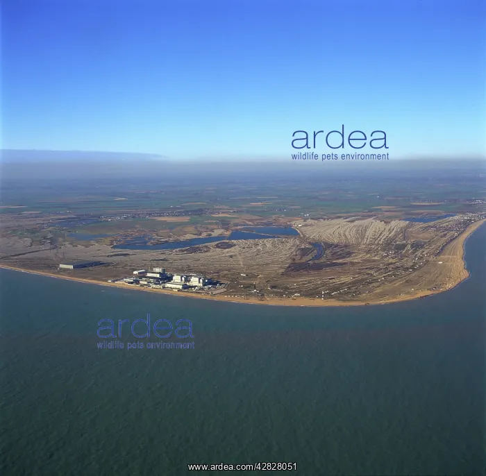 : England - Aerial view of Dungeness Power Station : England - Aerial view of Dungeness Power Station