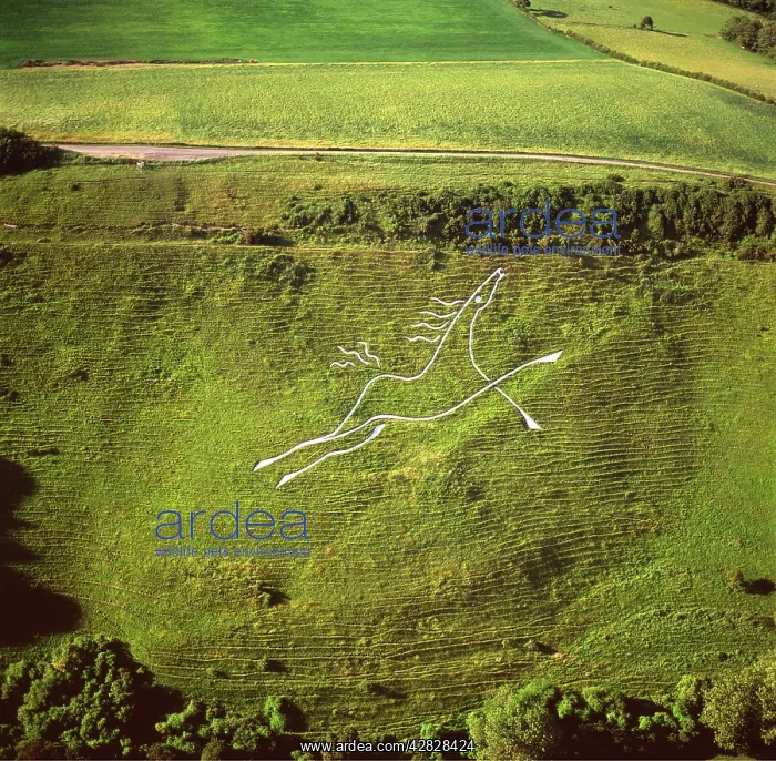  : England - Aerial view, Folkestone White Horse, Kent