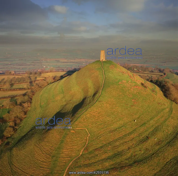 : England - Aerial view of Glastonbury Tor showing : England - Aerial view of Glastonbury Tor showing