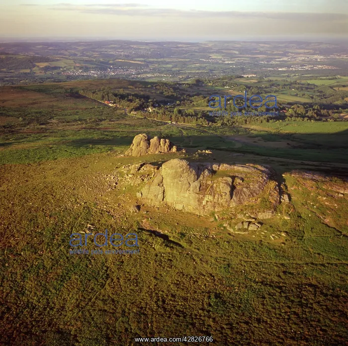  : England - Aerial view, Haytor Rocks, Dartmoor, Devon