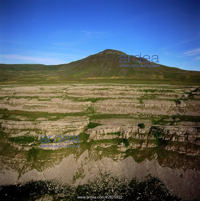 : England - Aerial view, Ingleborough Peak, Yorkshire : England - Aerial view, Ingleborough Peak, Yorkshire