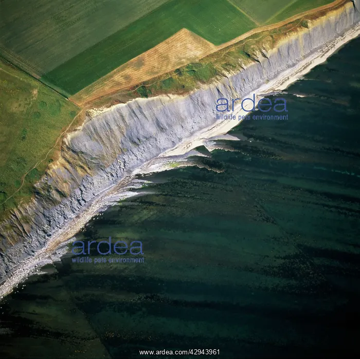 : England - Aerial view, Kimmeridge Ledges, Jurassic : England - Aerial view, Kimmeridge Ledges, Jurassic