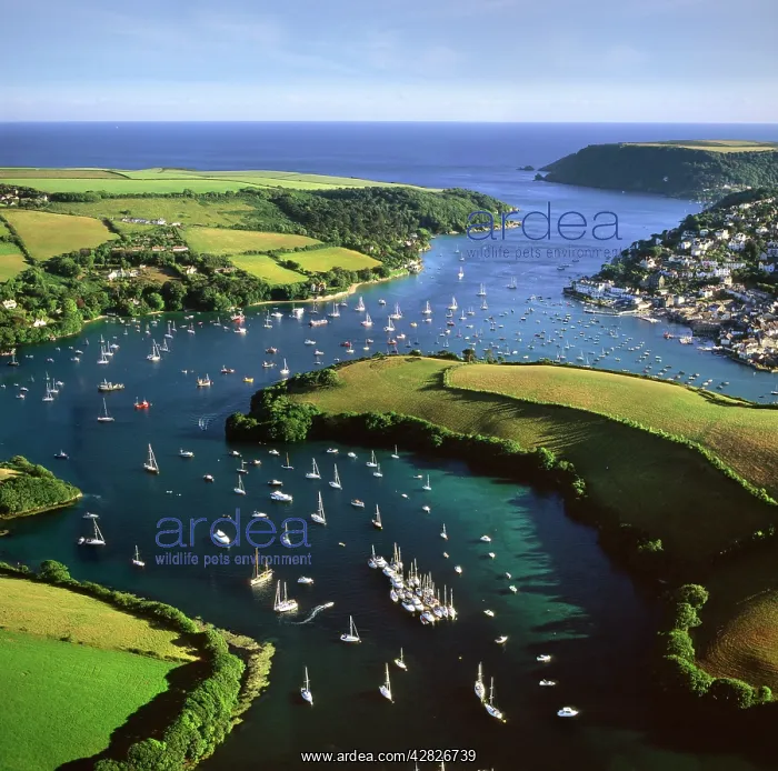 : England - Aerial view, Kingsbridge Estuary and : England - Aerial view, Kingsbridge Estuary and