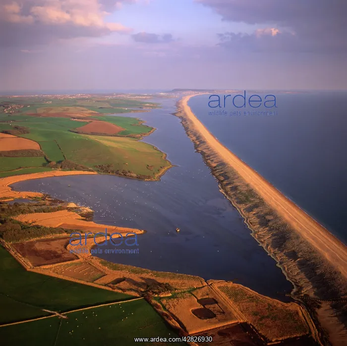 : England - Aerial view of linear storm beach of : England - Aerial view of linear storm beach of