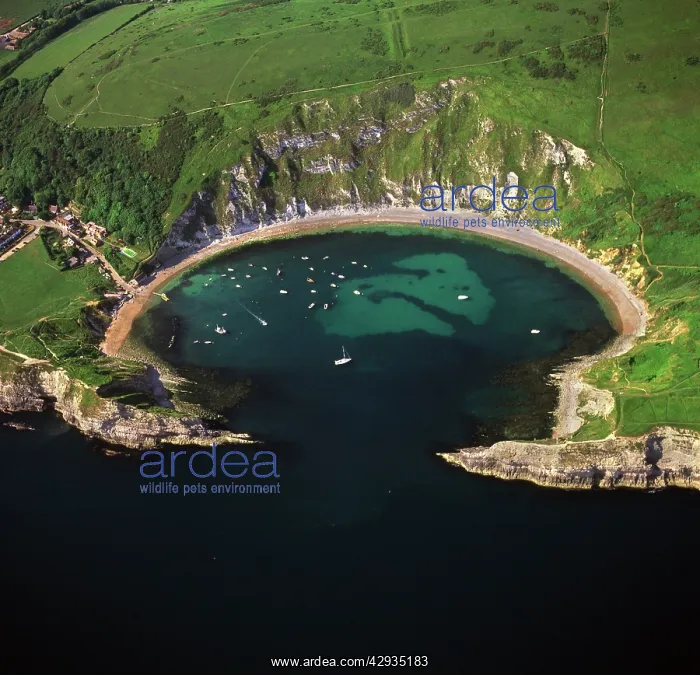 : England - Aerial view of Lulworth Cove showing : England - Aerial view of Lulworth Cove showing
