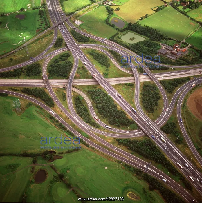 : England - Aerial view, M25 / M11 Motorway Junction, Essex : England - Aerial view, M25 / M11 Motorway Junction, Essex