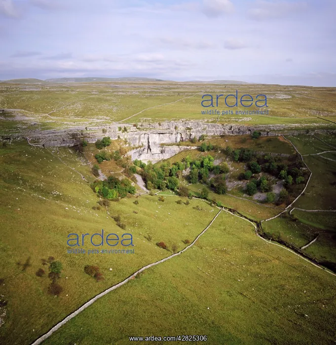  : England - Aerial view, Malham Cove, Yorkshire Dales