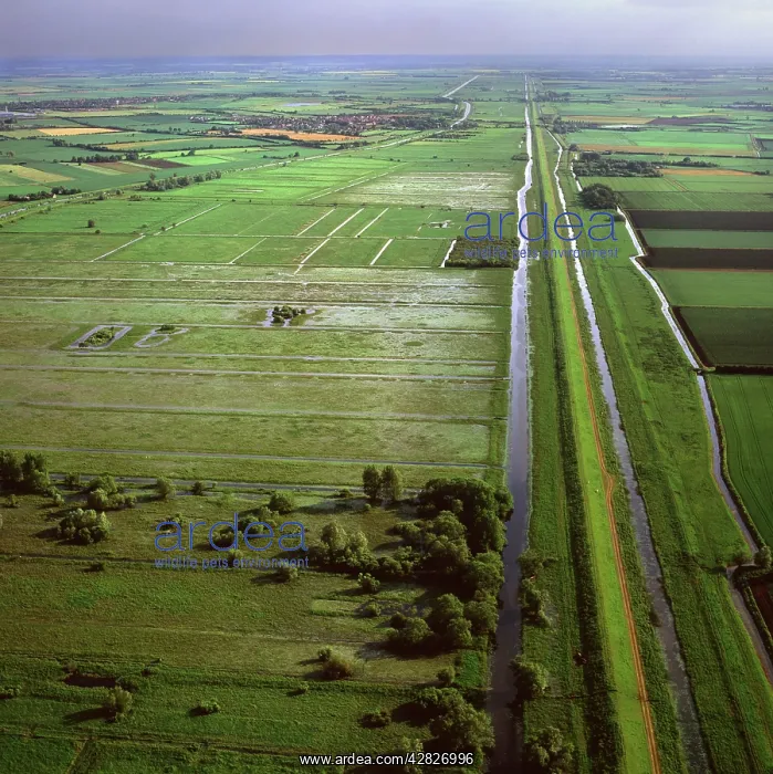 : England - Aerial view, New and Old Bedford Rivers : England - Aerial view, New and Old Bedford Rivers
