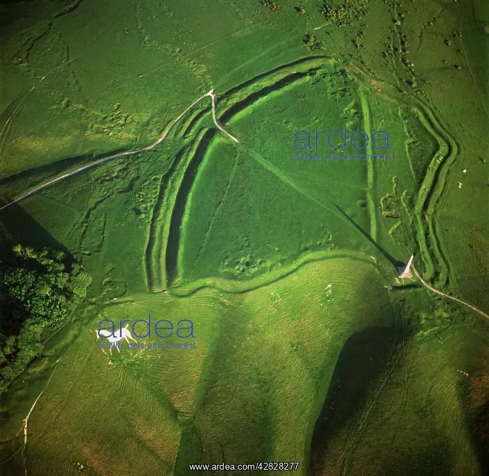 : England - Aerial view, Oldbury White Horse (or : England - Aerial view, Oldbury White Horse (or