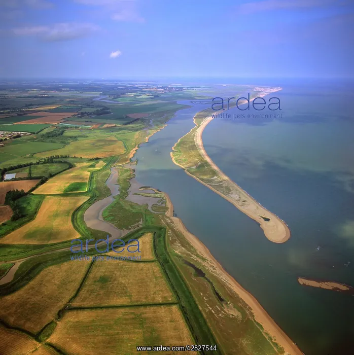: England - Aerial view, Orford Beach : England - Aerial view, Orford Beach