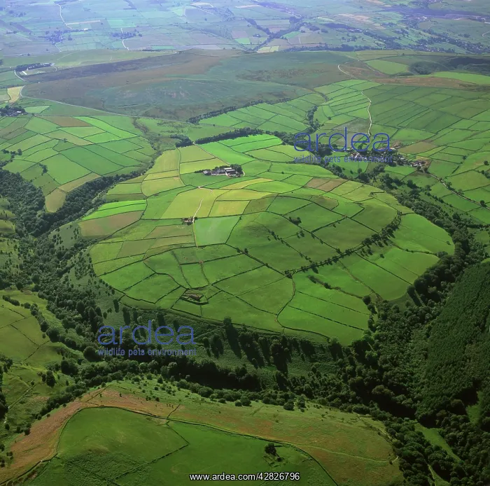 : England - Aerial view of the oval shaped hill of : England - Aerial view of the oval shaped hill of