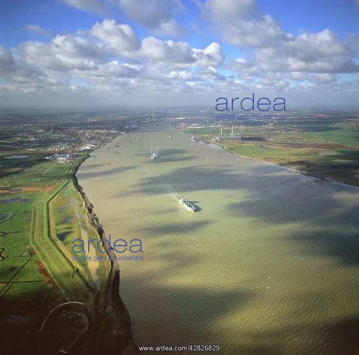 : England - Aerial view, The River Thames Estuary : England - Aerial view, The River Thames Estuary