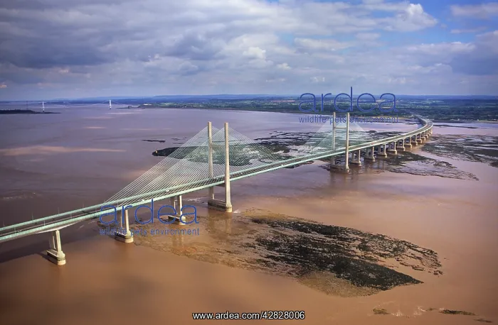 : England - Aerial view, Second Severn Bridge, Gloucestershire : England - Aerial view, Second Severn Bridge, Gloucestershire