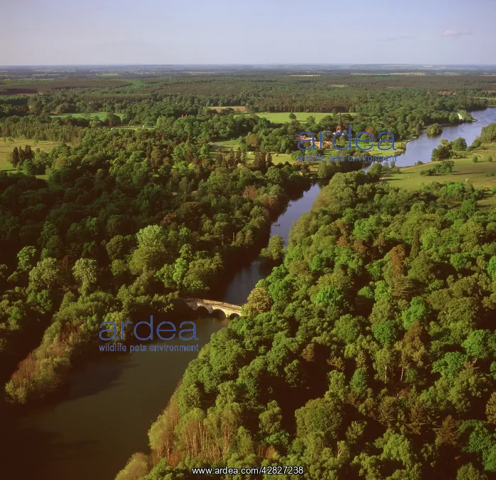 : England - Aerial view, Sherwood Forest and River Poulter : England - Aerial view, Sherwood Forest and River Poulter