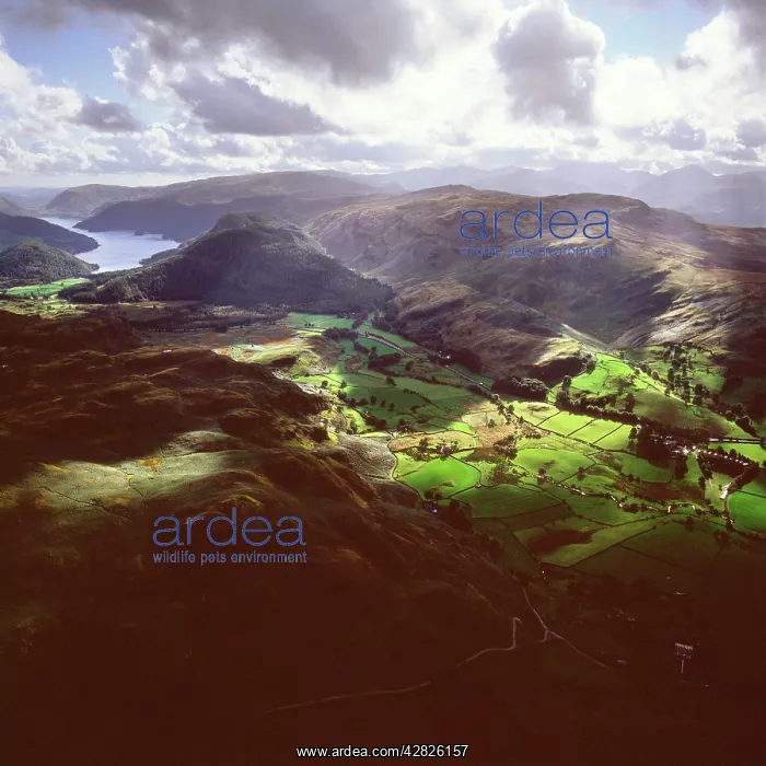  : England - Aerial view, Valley north of Lake Thirlmere