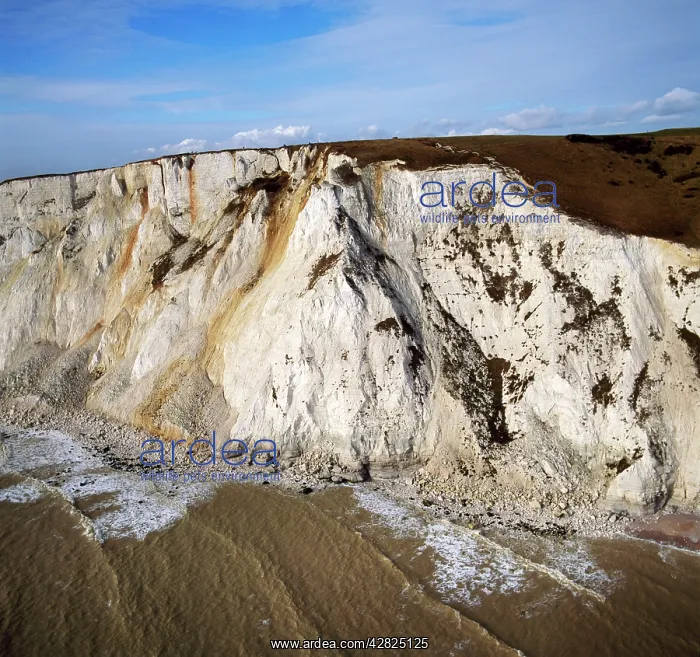 : England - Aerial view, White Cliffs at Beachy Head : England - Aerial view, White Cliffs at Beachy Head
