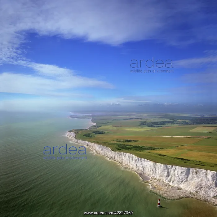 : England - Aerial view White Cliffs at Beachy Head : England - Aerial view White Cliffs at Beachy Head