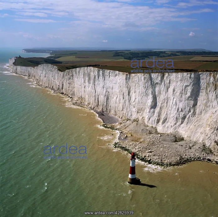  : England - Aerial view, White Cliffs and lighthouse