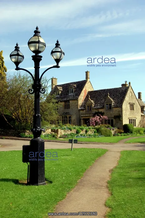 : England - a Cotswold village thoroughfare on a : England - a Cotswold village thoroughfare on a
