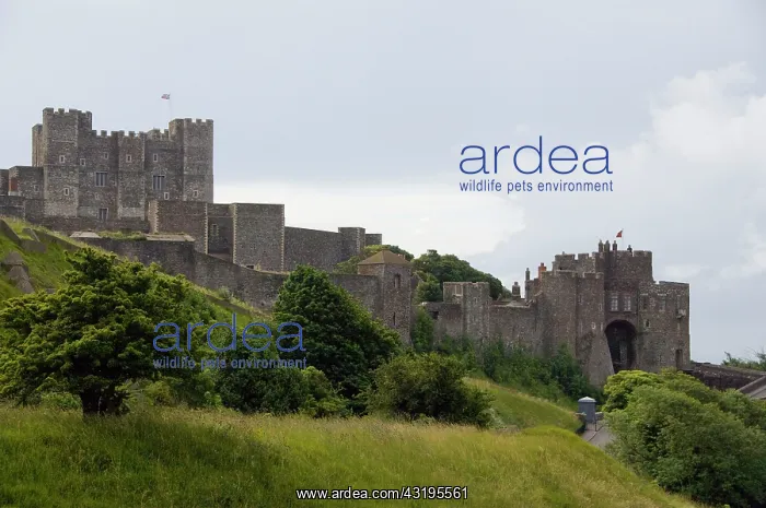 : England, Kent, Dover. Dover Castle, est. 1198 : England, Kent, Dover. Dover Castle, est. 1198