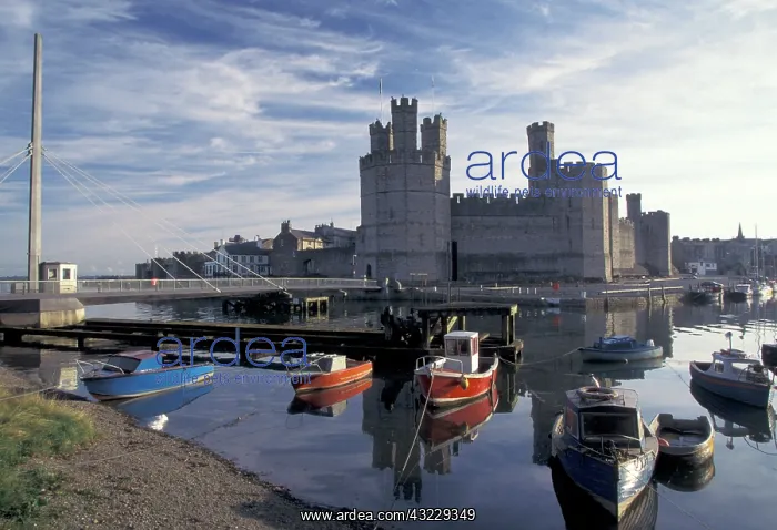 : England, Wales. Caernarvon Castle : England, Wales. Caernarvon Castle