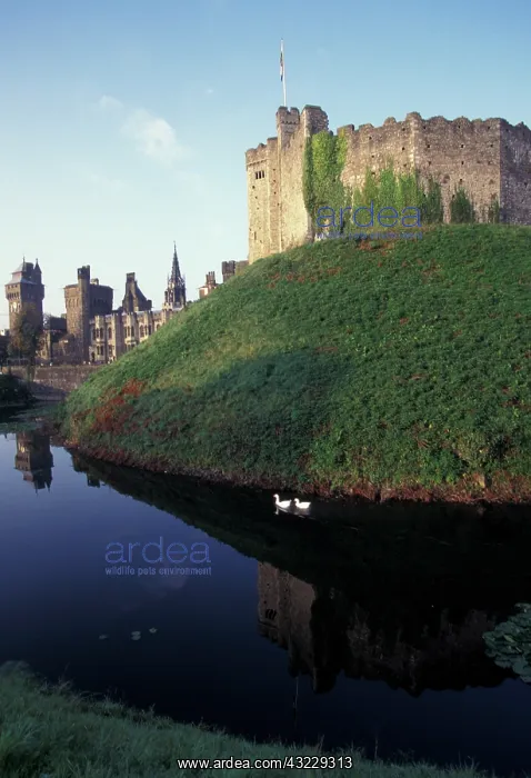 : England, Wales, Cardiff. Cardiff Castle : England, Wales, Cardiff. Cardiff Castle