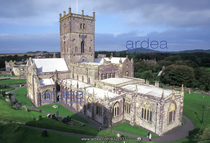 : England, Wales, St. David's. Fabled St : England, Wales, St. David's. Fabled St