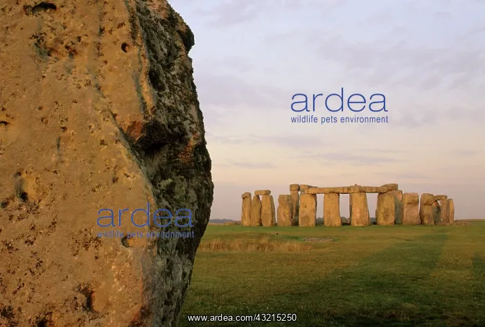 : England, Wiltshire, Stonehenge at dawn : England, Wiltshire, Stonehenge at dawn
