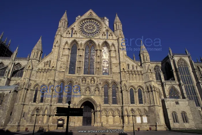 : England, York, York Minster : England, York, York Minster
