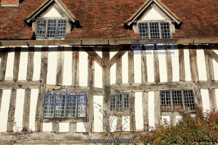 : English Cottage : English Cottage