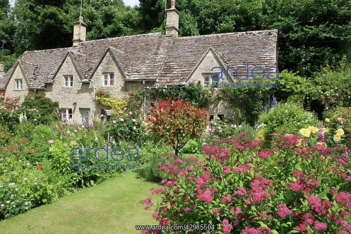: English Country Cottage - and garden : English Country Cottage - and garden