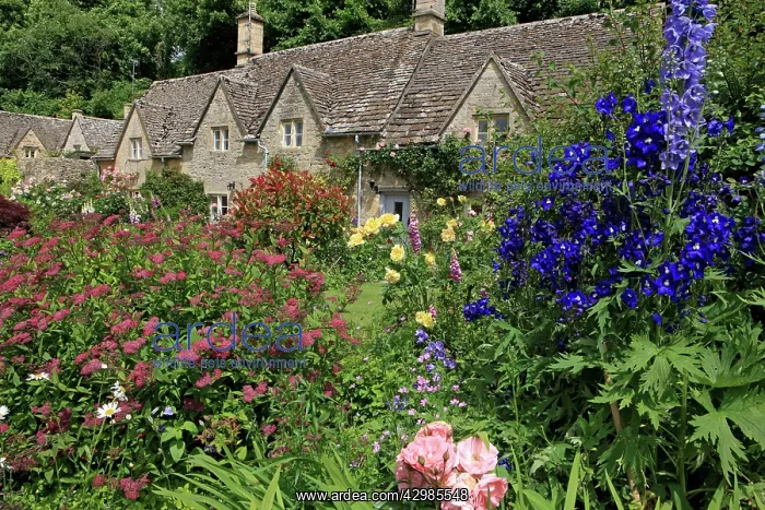 : English Country Cottage - and garden : English Country Cottage - and garden