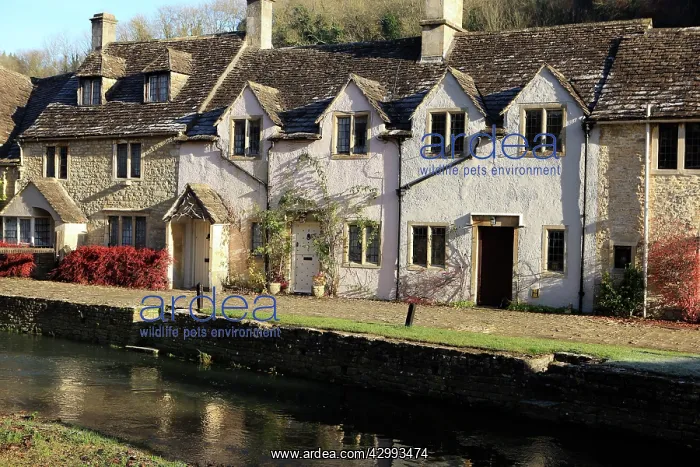  : English Country Cottages - by river
