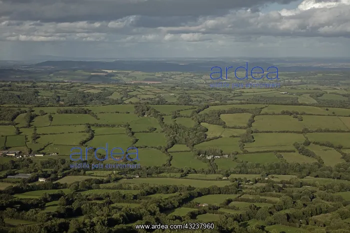 : English countryside, Herefordshire, England, UK : English countryside, Herefordshire, England, UK