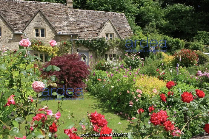 : English House and Garden : English House and Garden