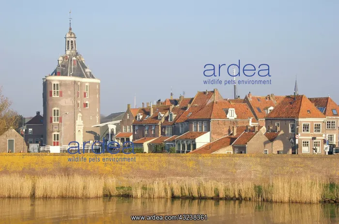 : Enkhuizen, Netherlands, North Holland, West-Frisia : Enkhuizen, Netherlands, North Holland, West-Frisia