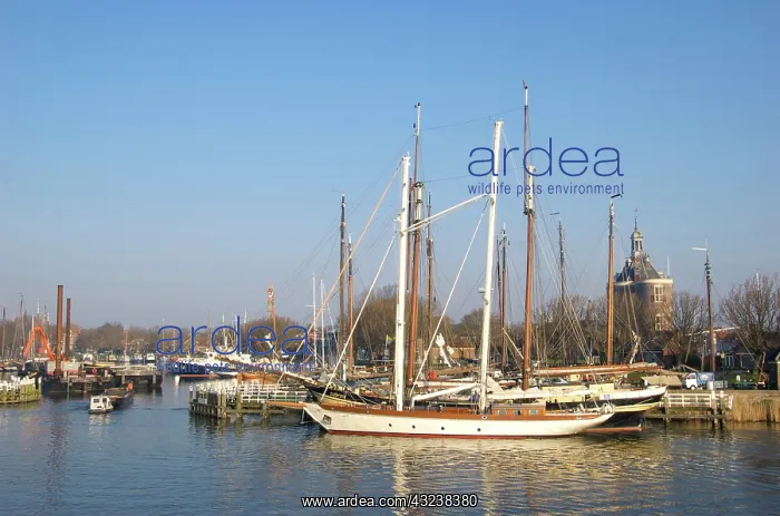 : Enkhuizen, Netherlands, North Holland, West-Frisia : Enkhuizen, Netherlands, North Holland, West-Frisia