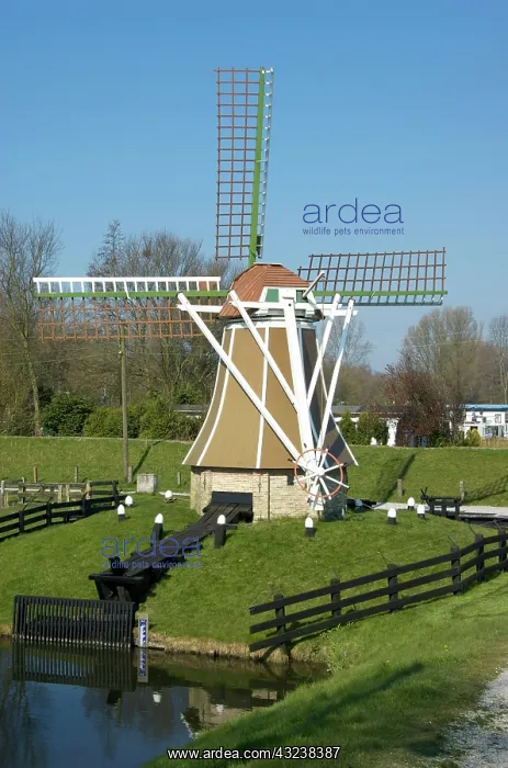 : Enkhuizen, Netherlands, North Holland, West-Frisia : Enkhuizen, Netherlands, North Holland, West-Frisia